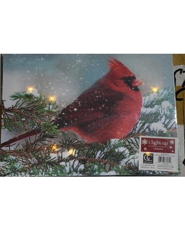 Medium snow Cardinal Canvas Custom product