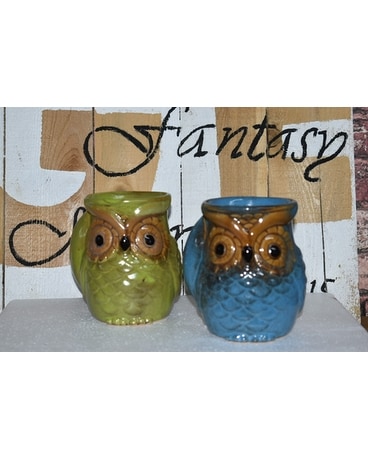 Owl mugs Custom product