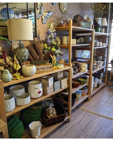In-store pots and planters Plant