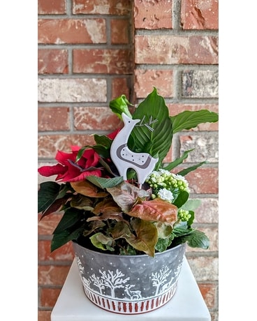 Lovely Reindeer Garden Dish Garden Plant
