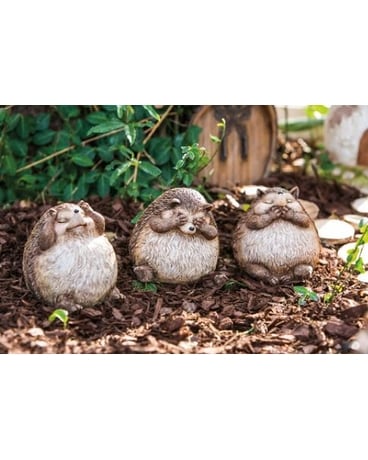 Hedgehogs - Hear No, Speak No, See No Evil Gifts