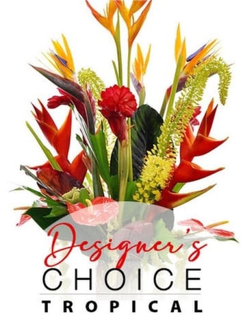 Designers Choice Tropical Arrangement Flower Arrangement