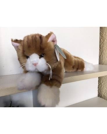 Here Kitty Kitty Bearington Bear Flower Arrangement