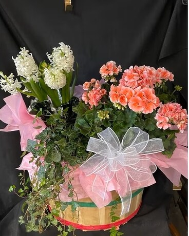 Blooming spring basket Flower Arrangement