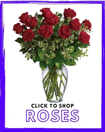 Flowers Section Flower Arrangement