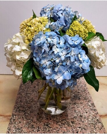 HYDRANGEA HEAVEN Flower Arrangement