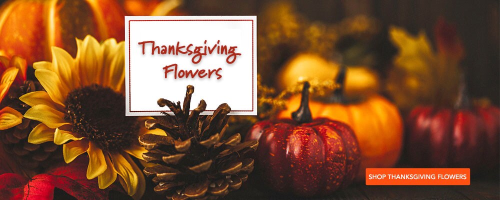 Send Thanksgiving Flowers in Mississauga, ON