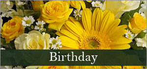 Birthday Occasion Tile